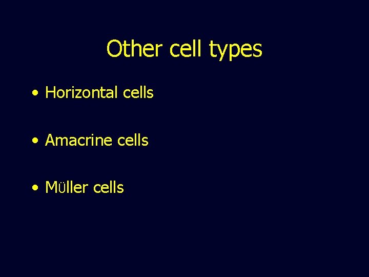 Other cell types • Horizontal cells • Amacrine cells • MÜller cells 