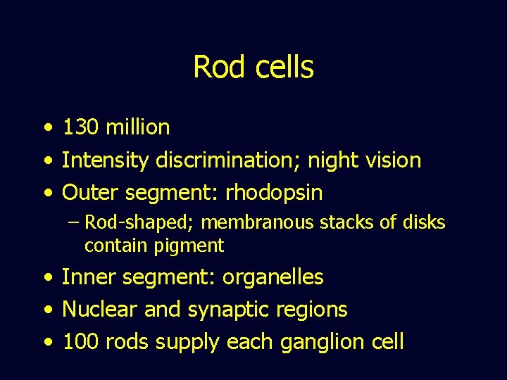 Rod cells • 130 million • Intensity discrimination; night vision • Outer segment: rhodopsin