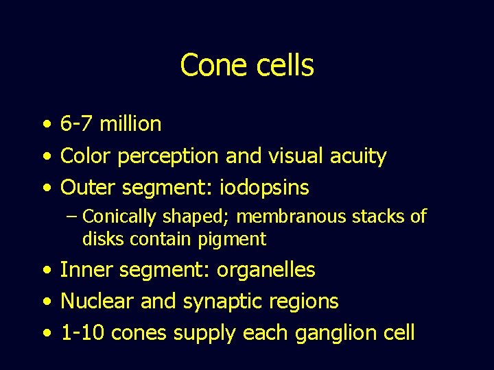 Cone cells • 6 -7 million • Color perception and visual acuity • Outer