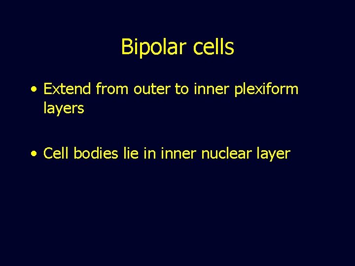 Bipolar cells • Extend from outer to inner plexiform layers • Cell bodies lie
