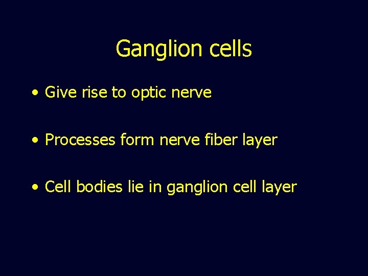 Ganglion cells • Give rise to optic nerve • Processes form nerve fiber layer