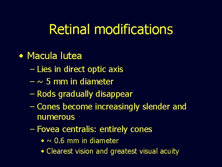 Retinal modifications • Macula lutea – Lies in direct optic axis – ~ 5