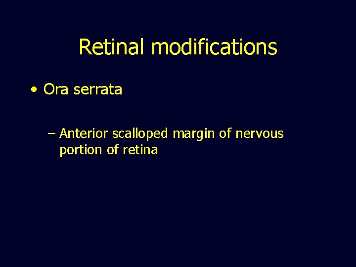 Retinal modifications • Ora serrata – Anterior scalloped margin of nervous portion of retina