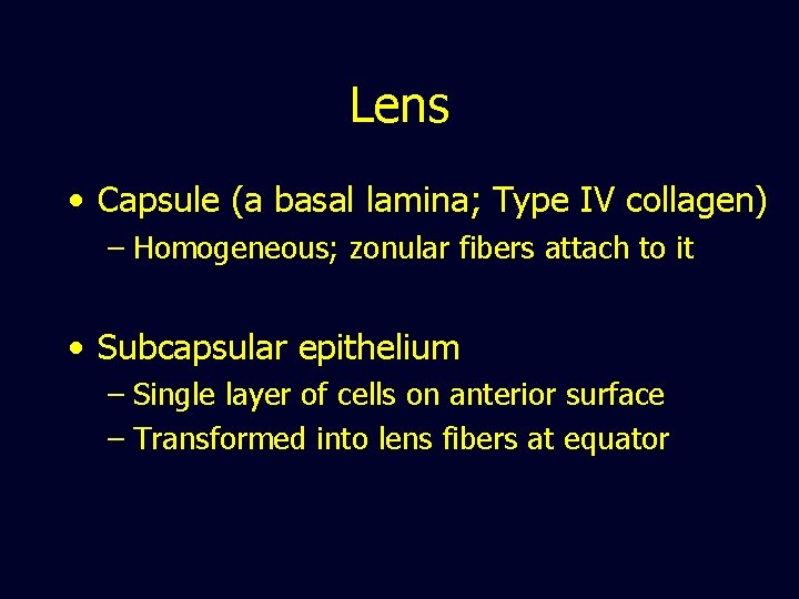 Lens • Capsule (a basal lamina; Type IV collagen) – Homogeneous; zonular fibers attach