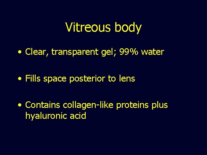 Vitreous body • Clear, transparent gel; 99% water • Fills space posterior to lens