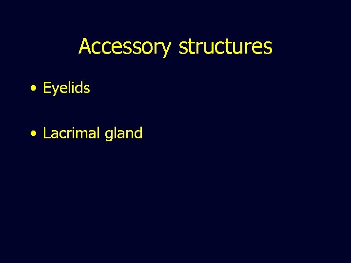 Accessory structures • Eyelids • Lacrimal gland 
