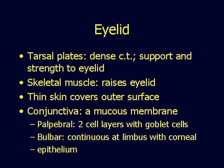 Eyelid • Tarsal plates: dense c. t. ; support and strength to eyelid •