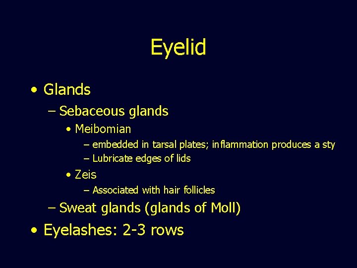 Eyelid • Glands – Sebaceous glands • Meibomian – embedded in tarsal plates; inflammation