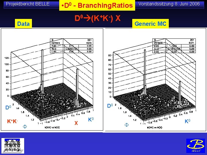 Projektbericht BELLE Data • D 0 - Branching. Ratios D 0 (K+K-) X Generic