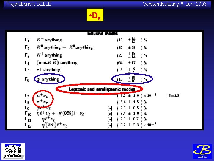 Projektbericht BELLE Vorstandssitzung 8. Juni 2006 • D s 