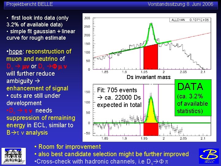 Projektbericht BELLE Vorstandssitzung 8. Juni 2006 • first look into data (only 3. 2%