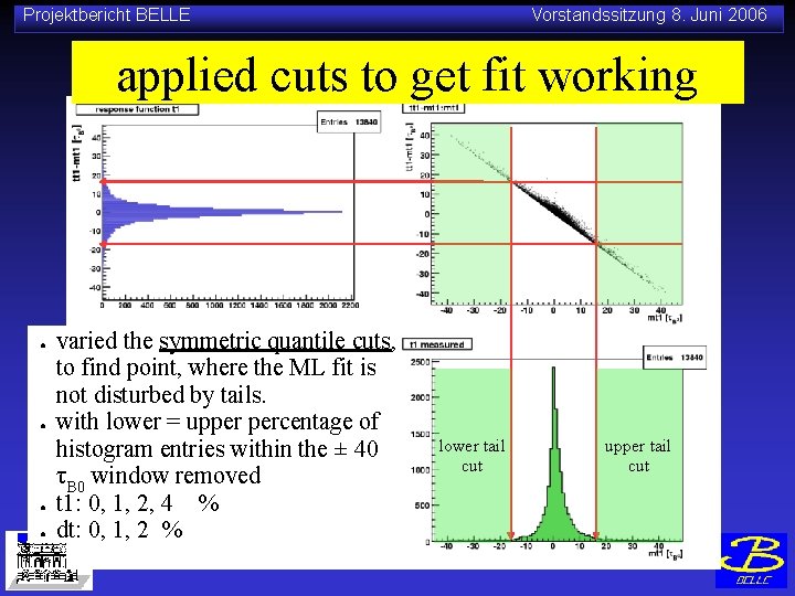 Projektbericht BELLE Vorstandssitzung 8. Juni 2006 applied cuts to get fit working ● ●