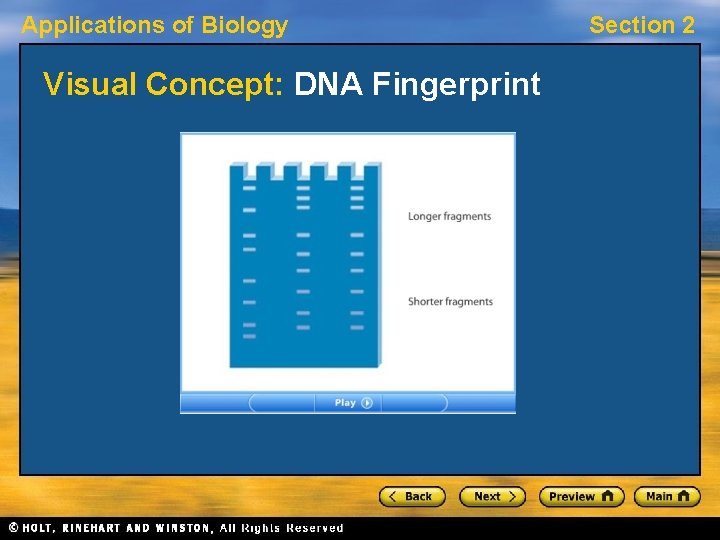 Applications of Biology Visual Concept: DNA Fingerprint Section 2 