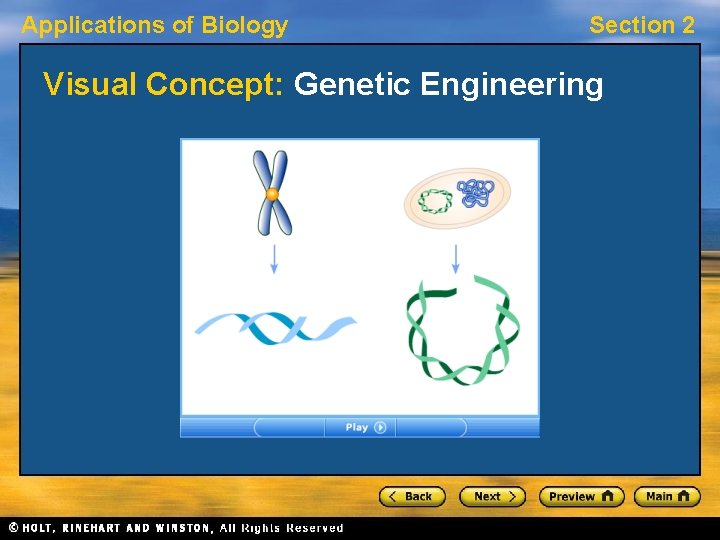 Applications of Biology Section 2 Visual Concept: Genetic Engineering 