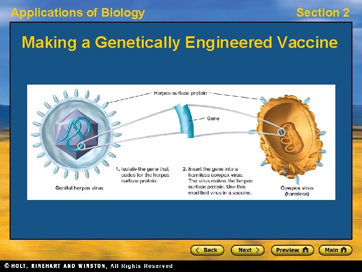 Applications of Biology Section 2 Making a Genetically Engineered Vaccine 
