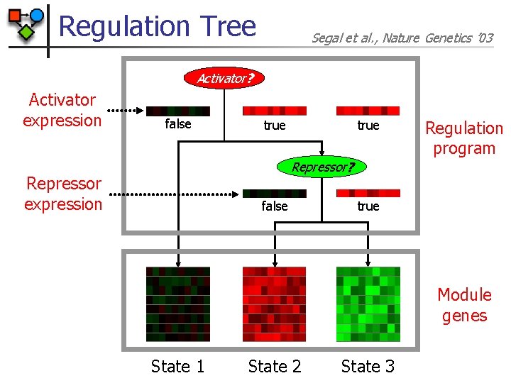 Regulation Tree Segal et al. , Nature Genetics ’ 03 Activator? Activator expression false