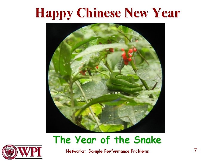 Happy Chinese New Year The Year of the Snake Networks: Sample Performance Problems 7
