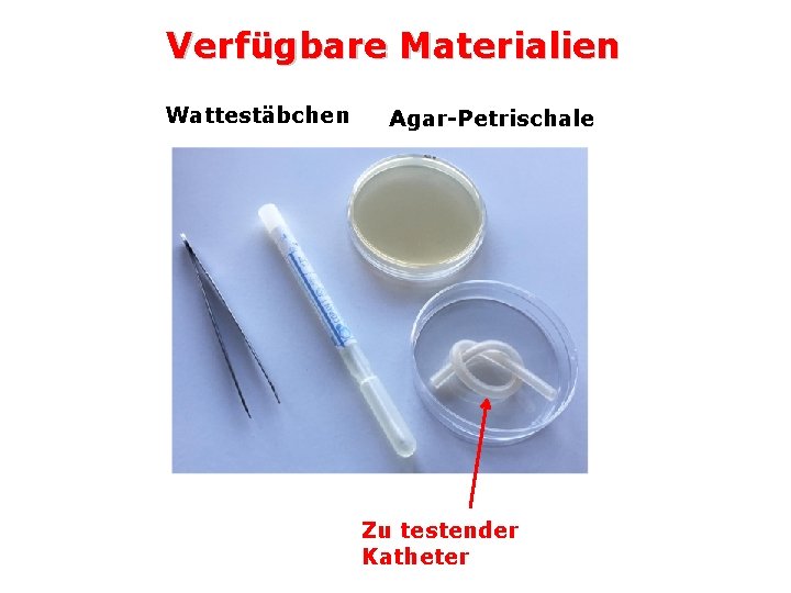Verfügbare Materialien Wattestäbchen Agar-Petrischale Zu testender Katheter Verfügbare Materialien Wattestäbchen Agar-Petrischale Zu testender Katheter