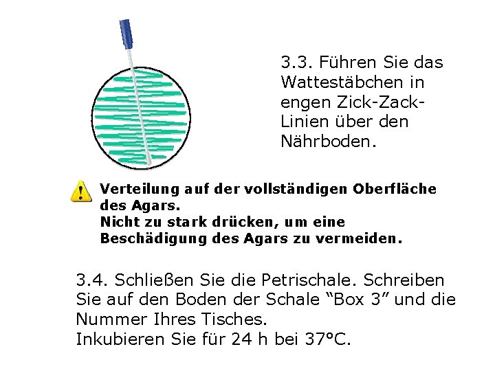 3. 3. Führen Sie das Wattestäbchen in engen Zick-Zack. Linien über den Nährboden. Verteilung 3. 3. Führen Sie das Wattestäbchen in engen Zick-Zack. Linien über den Nährboden. Verteilung