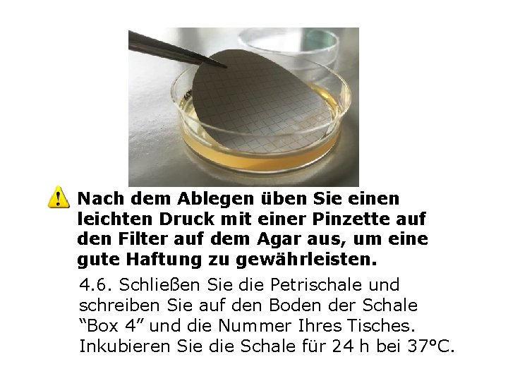 Nach dem Ablegen üben Sie einen leichten Druck mit einer Pinzette auf den Filter Nach dem Ablegen üben Sie einen leichten Druck mit einer Pinzette auf den Filter