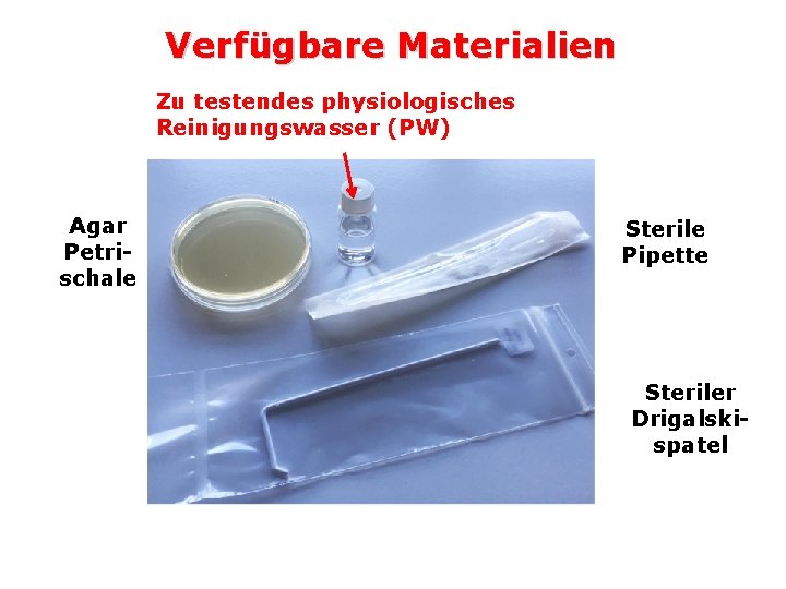 Verfügbare Materialien Zu testendes physiologisches Reinigungswasser (PW) Agar Petrischale Sterile Pipette Steriler Drigalskispatel Verfügbare Materialien Zu testendes physiologisches Reinigungswasser (PW) Agar Petrischale Sterile Pipette Steriler Drigalskispatel