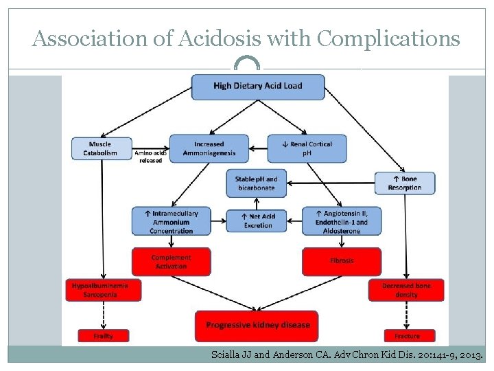 Association of Acidosis with Complications Scialla JJ and Anderson CA. Adv Chron Kid Dis.