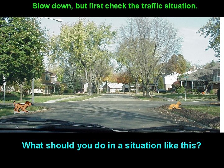 Slow down, but first check the traffic situation. What should you do in a