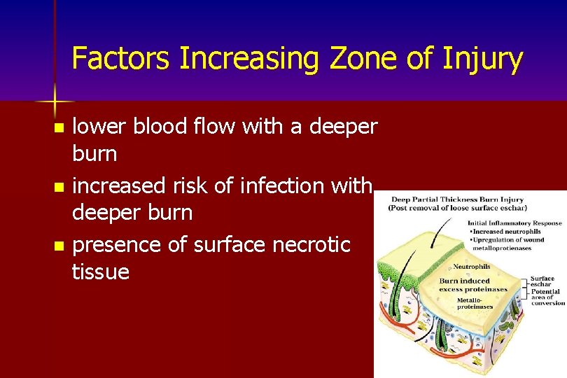 Factors Increasing Zone of Injury lower blood flow with a deeper burn n increased