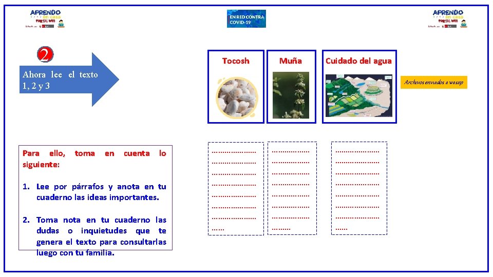 2 Tocosh Muña Cuidado del agua Ahora lee el texto 1, 2 y 3