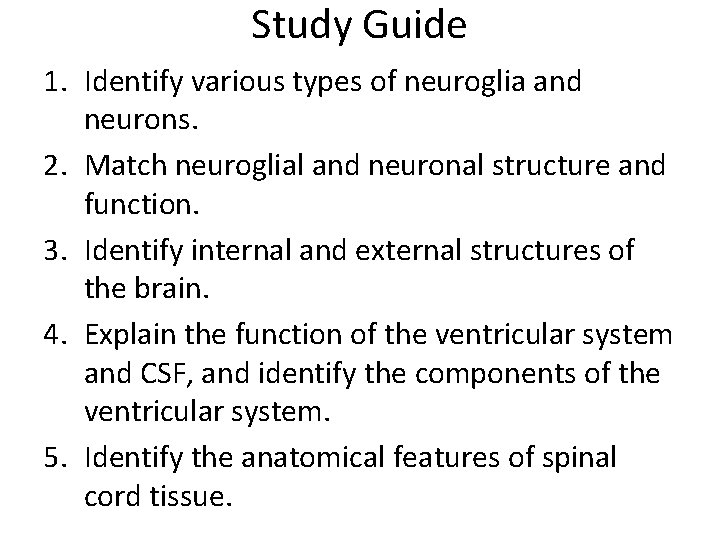Study Guide 1. Identify various types of neuroglia and neurons. 2. Match neuroglial and
