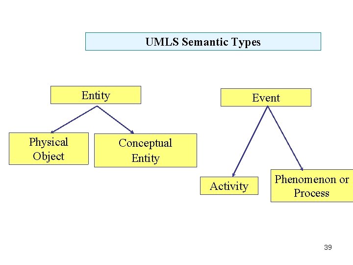 UMLS Semantic Types Entity Physical Object Event Conceptual Entity Activity Phenomenon or Process 39