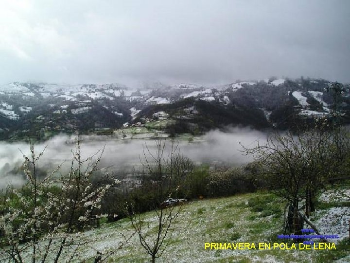 www. laboutiquedelpowerpoint. com PRIMAVERA EN POLA DE LENA 