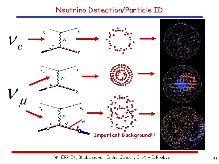 Neutrino Detection/Particle ID e- ne W n p m- nm W n p nm