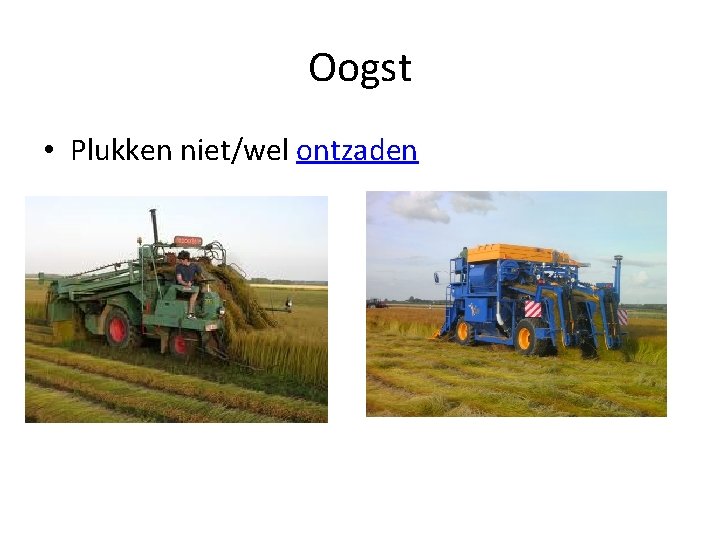 Oogst • Plukken niet/wel ontzaden 