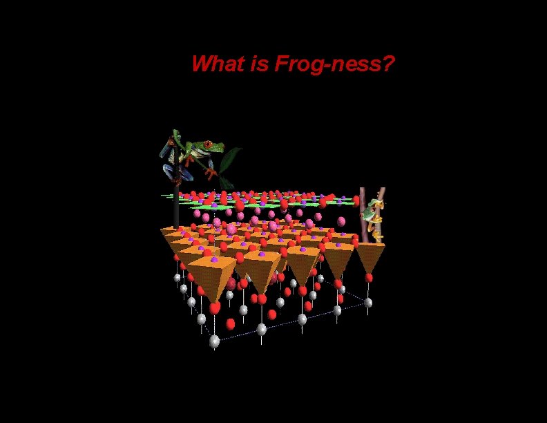 What is Frog-ness? 