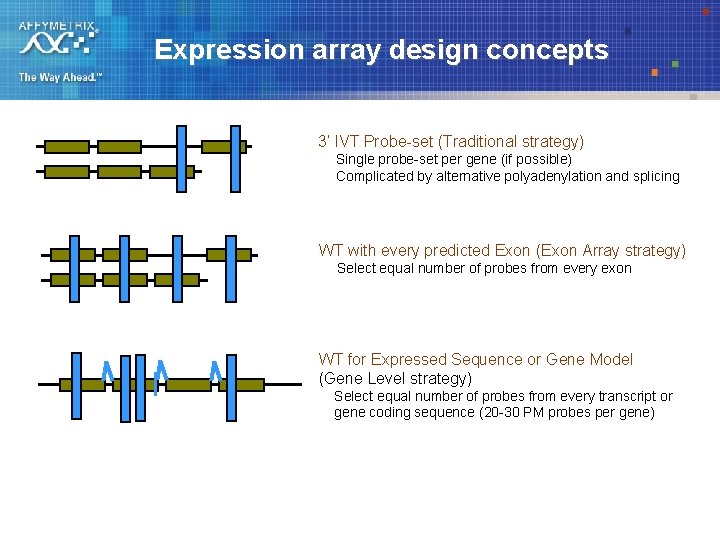 Expression array design concepts 3’ IVT Probe-set (Traditional strategy) Single probe-set per gene (if