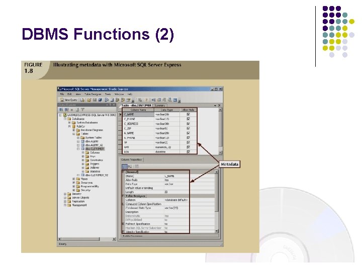 DBMS Functions (2) 