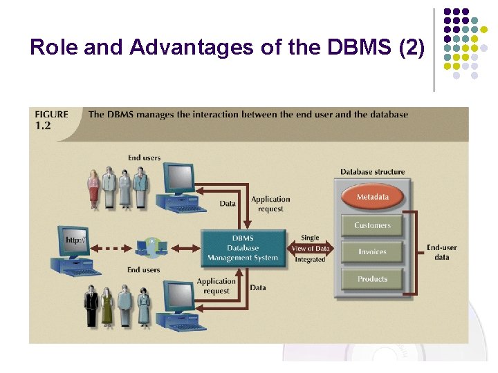 Role and Advantages of the DBMS (2) 