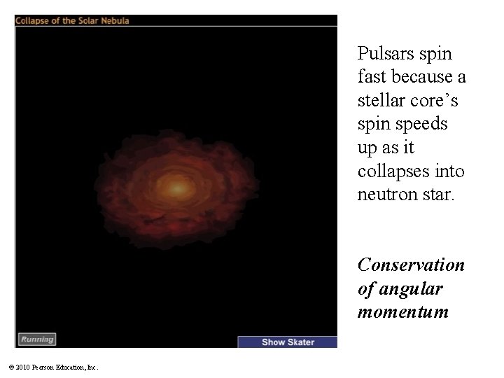 Pulsars spin fast because a stellar core’s spin speeds up as it collapses into