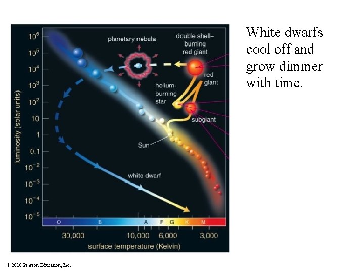White dwarfs cool off and grow dimmer with time. © 2010 Pearson Education, Inc.