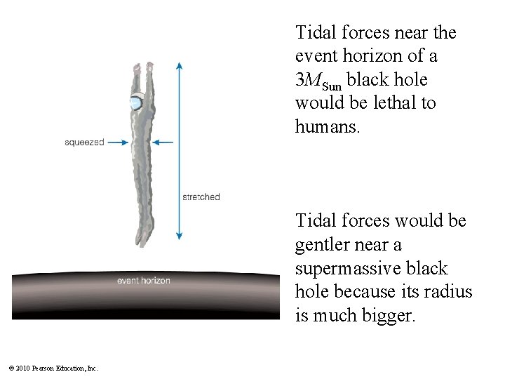 Tidal forces near the event horizon of a 3 MSun black hole would be