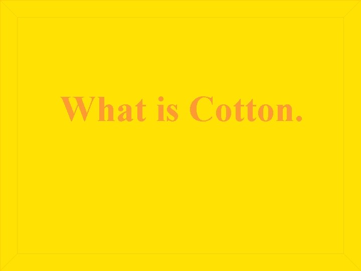 What is Cotton. 