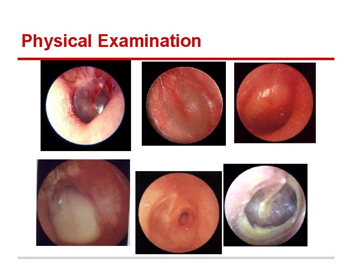 Physical Examination 