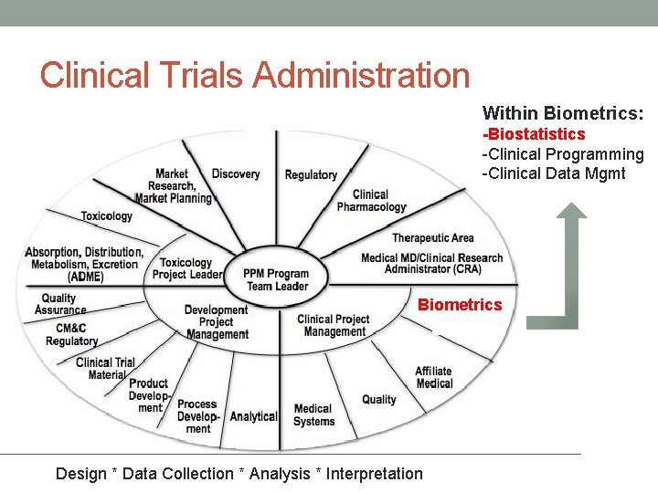 Clinical Trials Administration Within Biometrics: -Biostatistics -Clinical Programming -Clinical Data Mgmt Biometrics Design *