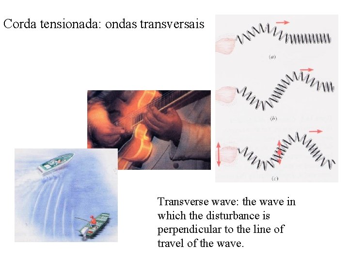 Corda tensionada: ondas transversais Transverse wave: the wave in which the disturbance is perpendicular