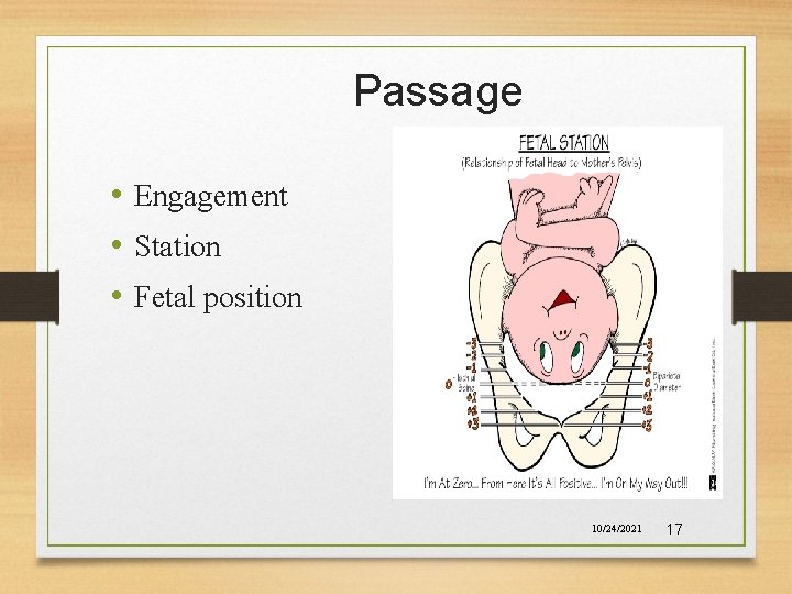 Passage • Engagement • Station • Fetal position 10/24/2021 17 
