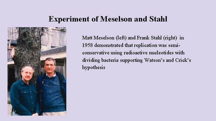 Experiment of Meselson and Stahl Matt Meselson (left) and Frank Stahl (right) in 1958