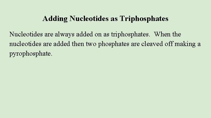 Adding Nucleotides as Triphosphates Nucleotides are always added on as triphosphates. When the nucleotides