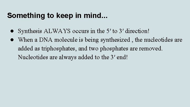 Something to keep in mind. . . ● Synthesis ALWAYS occurs in the 5′