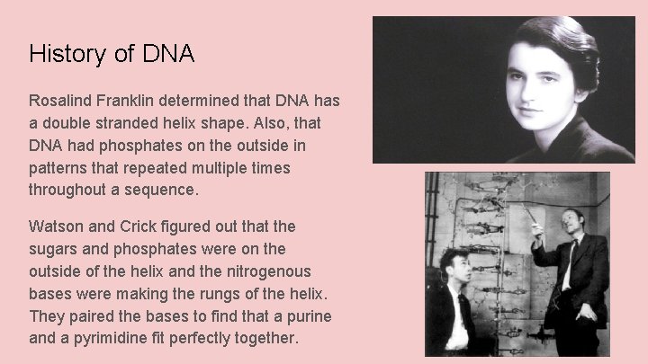 History of DNA Rosalind Franklin determined that DNA has a double stranded helix shape.